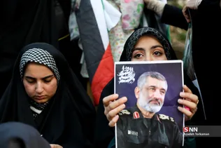 دبب