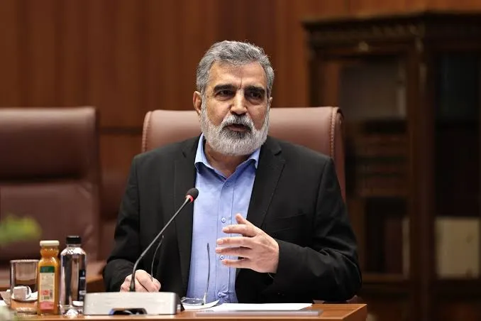 کمالوندی: اتریش باید تمامی اقدامات لازم را برای تسهیل ورود نمایندگان ایران و اعطای روادید به آنها را در سریع‌ترین زمان ممکن انجام دهد + فیلم