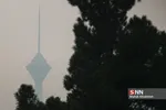 ثصفل