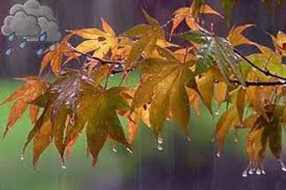 بارش باران در شمال و جنوب کشور/ آلودگی هوا در شهرهای بزرگ