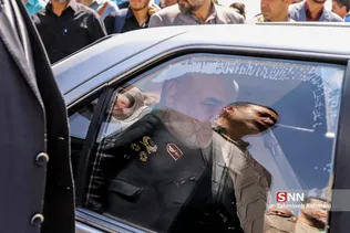 نمایشگاه شکار کرکس ها