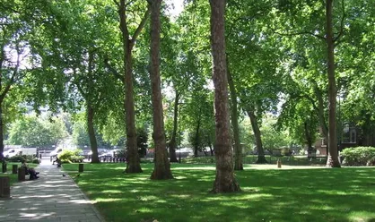 یک باغ در منطقه ۹ شهرداری تهران به فضای سبز اضافه می&zwnj;شود