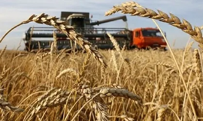 افزایش ۱۲ درصدی قیمت گندم پس از خروج روسیه از توافق غلات