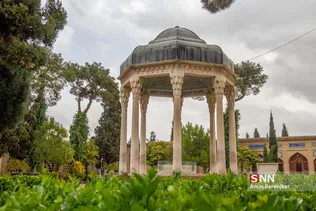 سیب
