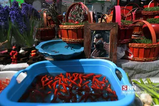 ماهی قرمز و سبزه شب عید