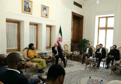 نشست ظریف و پنج تن از وزرای دولت آفریقای جنوبی