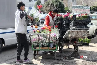 بازار گل