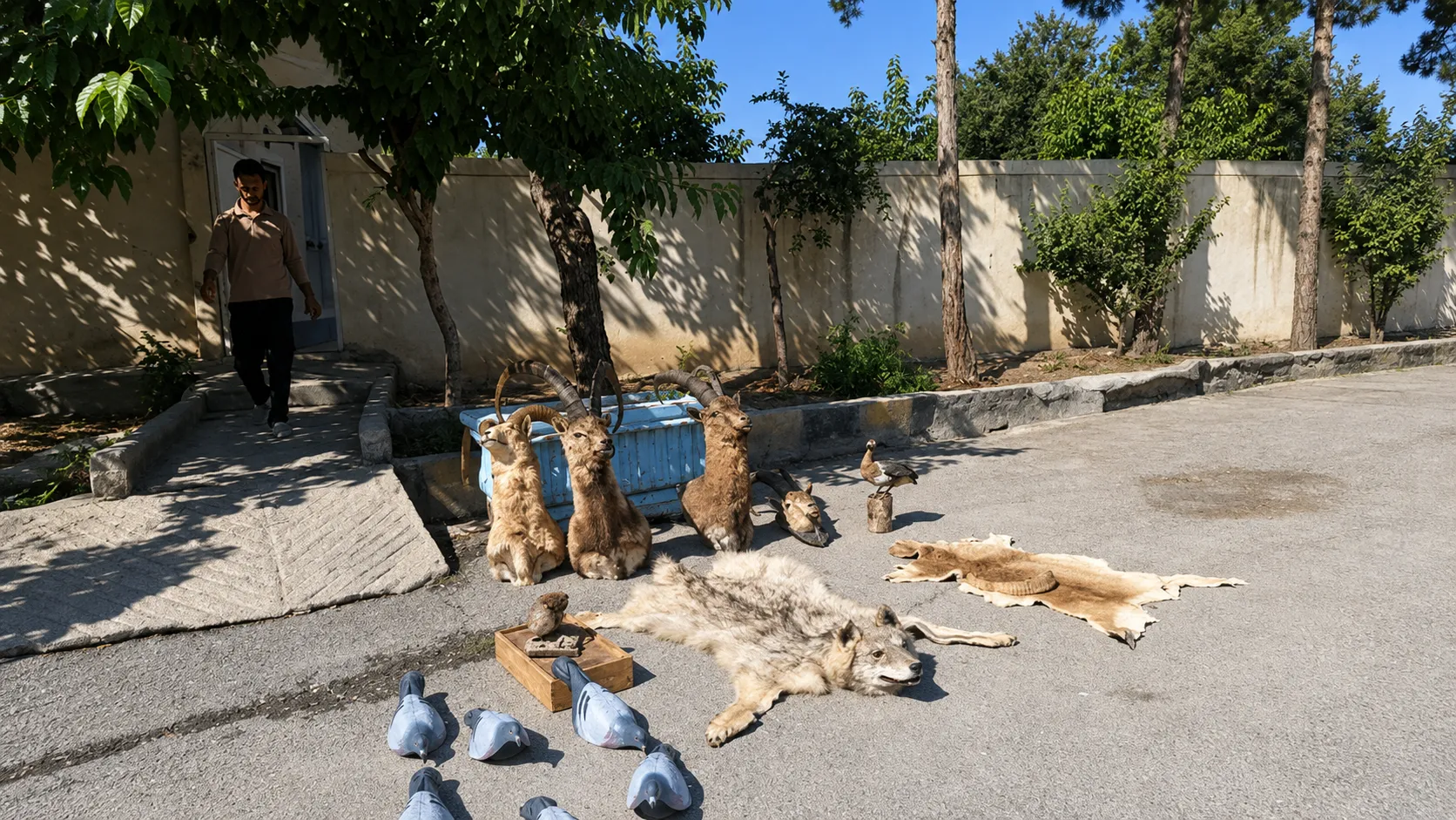 انهدام باند بزرگ شکارچیان غیرمجاز در چهارمحال و بختیاری