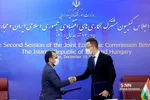 بیدذب