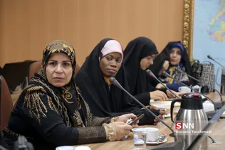 دانشگاه دافوس