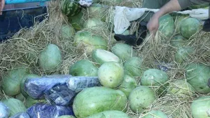 کشف ۲۰۰ کیلو تریاک در پوشش بار هندوانه در نائین