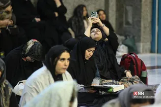 دبب