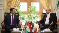 ریشه وقوع حادثه تروریستی کرمان نتیجه فعالیت داعش در افغانستان است