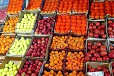 کاهش قیمت ۲۰ قلم محصول در میادین میوه و تره بار همزمان با آغاز پاییز