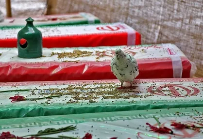 مراسم گرامیداشت سوم خرداد و روز قدس در دانشگاه آزاد اردبیل برگزار می&zwnj;شود