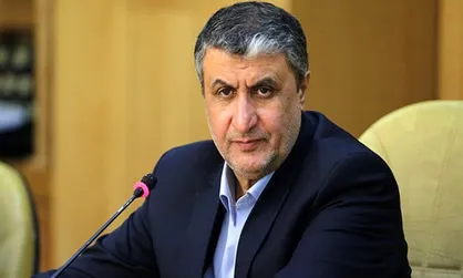 اسلامی: از همکاری با سازمان&zwnj;های بین&zwnj;المللی استقبال می&zwnj;کنیم
