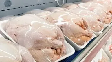 مرغ‌های سنگین از بازار کنار می‌روند؟