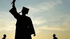 بیشترین درصد اشتغال مربوط به کدام رشته‌ها می‌شود؟