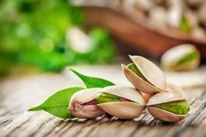 درآمد&zwnj;های پسته در مسیر آبادانی و توسعه اقتصادی منطقه به کار گرفته شود