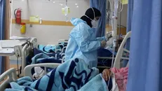 نذورات معنوی جامعه دانشگاهی صنعتی اصفهان یاری‌گر کادر درمان شد