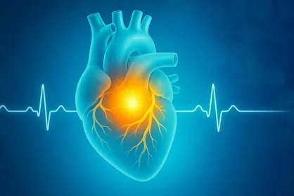 یک دنیا امید: پلیمر معجزه جدید قلب&zwnj;ها را پس از حمله شفا می&zwnj;دهد