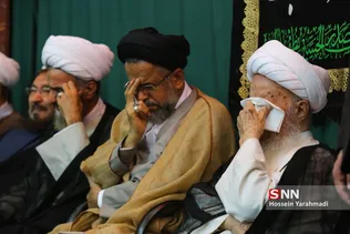 آیت الله مکارم شیرازی و آیت الله محمود علوی وزیر اطلاعات