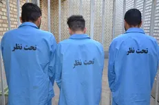 ۷۰ مورد سرقت توسط باندی ۳ نفره در شهرضا