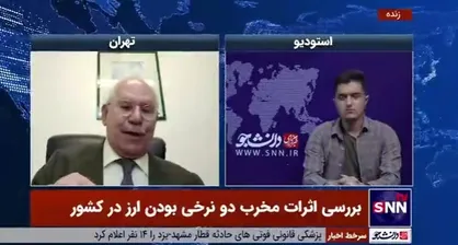 عضو سابق هیات رئیسه اتاق بازرگانی ایران: یارانه دلار ۴۲۰۰ تومانی باید به مصرف کننده داده شود