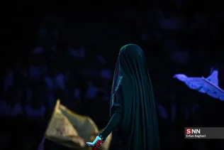 دبب