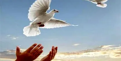 دستور آزادی ۶۰ نفر از زندانیان زن به مناسبت ولادت حضرت فاطمه (س)