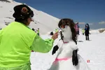 دبب