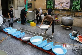 تربیت مدرس