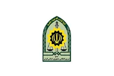 پلیس عامل تشویش اذهان عمومی در شهرستان انار را دستگیر کرد