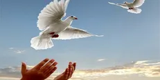 آزادی ۳۱۵ زندانی جرائم غیرعمد در اردبیل