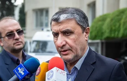 اسلامی: جعبه سیاه هواپیمای اوکراینی در ایران خوانده می&zwnj;شود