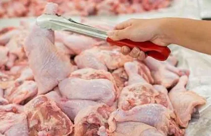صدور مجوز خرید مرغ با هدف ایجاد تعادل در بازار