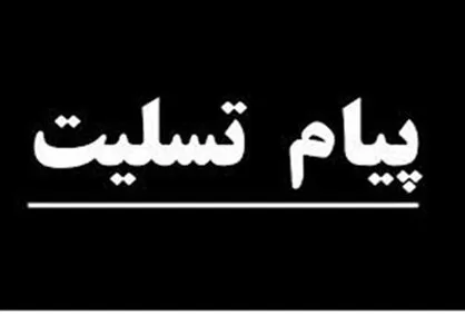 وزیر کار و رفاه اجتماعی درگذشت نماینده مردم ایرانشهر را تسلیت گفت