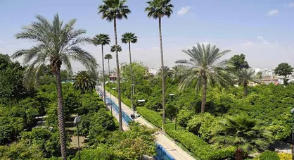 خاطره&zwnj;گویی استادیار دانشگاه یاسوج به سبک گل و بلبل/ استاد از من خواست بی&zwnj;مقدمه و بدون اجازه بزنم زیر آواز!
