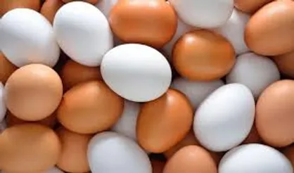 چگونه از آلودگی تخم مرغ جلوگیری کنیم؟