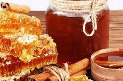 مذاکره با آفریقای جنوبی برای صادرات عسل