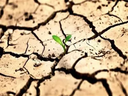 کم آبی، بحرانی حاصل از سوء مدیریت / آب، جان می&zwnj;دهد یا جان می&zwnj;گیرد؟