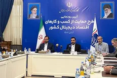 زارع پور: ۳۰ بسته حمایتی از کسب و کارهای دیجیتال تهیه شد / معافیت مالیاتی در پلتفرم‌های داخلی