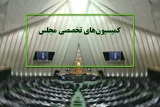 وزرا برای دریافت بودجه بیشتر به مجلس می‌روند/ حضور بطحایی، غلامی، قاضی‌زاده و زنگنه در مجلس
