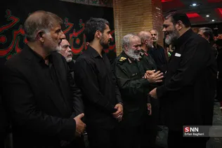 دبب