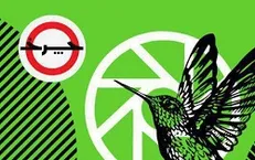 پرواز پرنده‌ها در منطقه «چرخ»