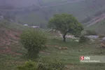مه 