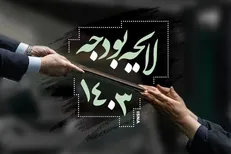 بررسی جداول بودجه ۱۴۰۳ در صحن مجلس پایان یافت