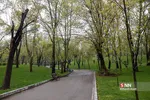 هوای بارانی تهران