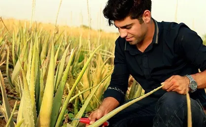 امکانات دستگاه&zwnj;های اجرایی در اختیار دانشجویان رشته کشاورزی قرار می&zwnj;گیرد
