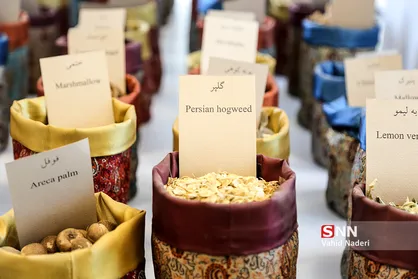 چه ترکیبات گیاهی برای &laquo;درمان کرونا در طب سنتی&raquo; استفاده می&zwnj;شود؟